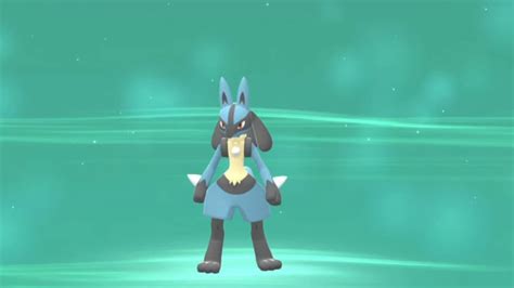What Lucario's Weakness Is in Pokemon Brilliant .